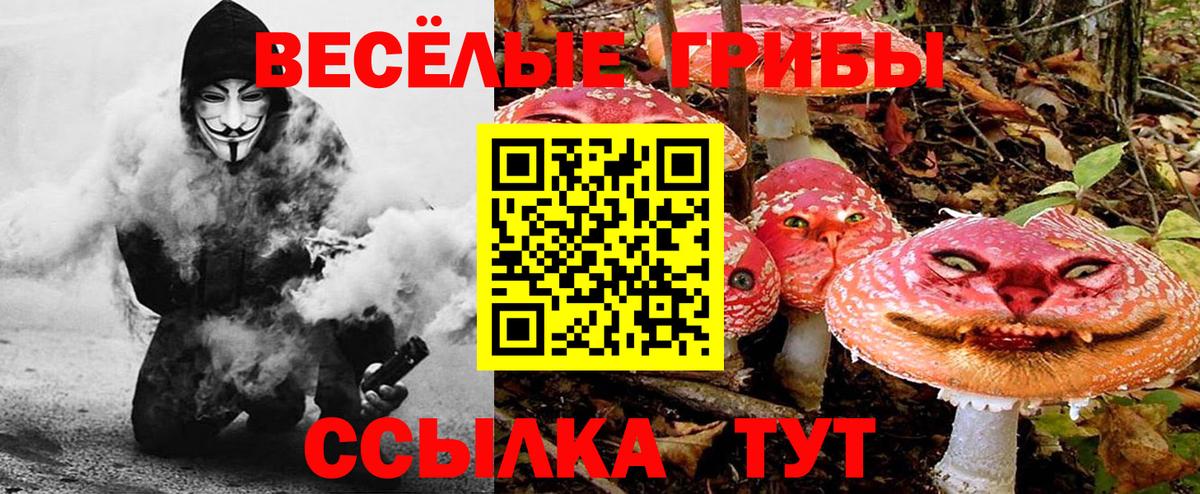 Фурманов  Галлюциногенные грибы мицелий  Галлюциногенные грибы мухоморы  Вход с VPN 